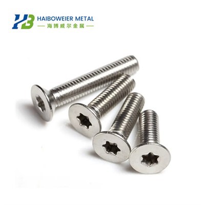 Titanyum Torx Cıvataları